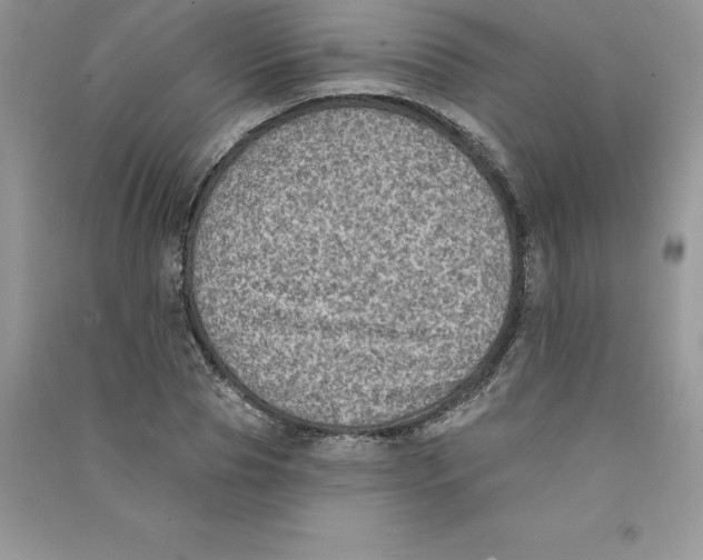 X0000090730929200708171944