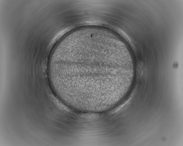 X0000090730930200708171944