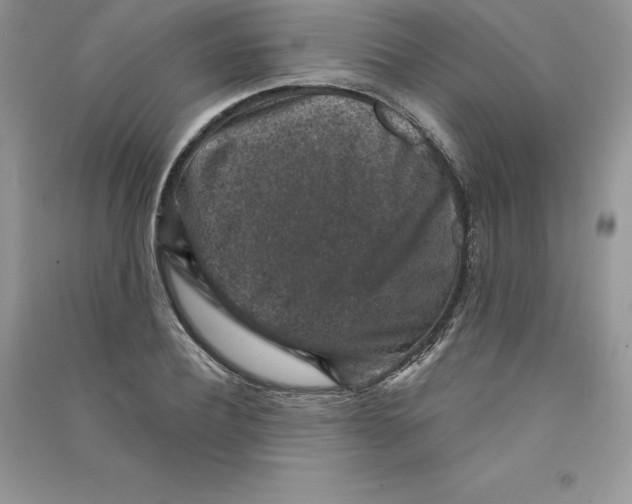 X0000090730932200708171944