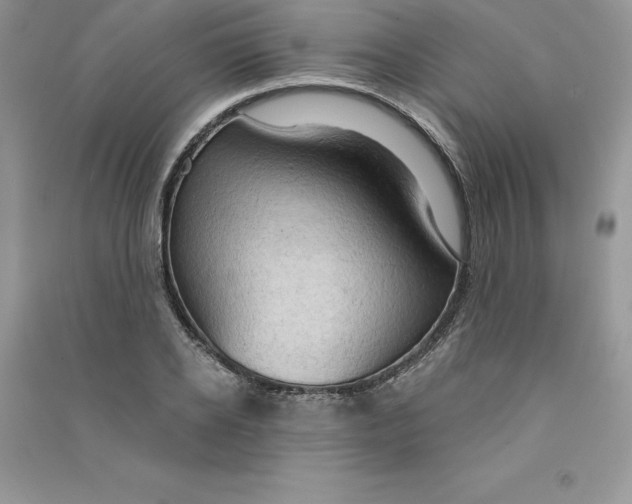 X0000090730934200708171944