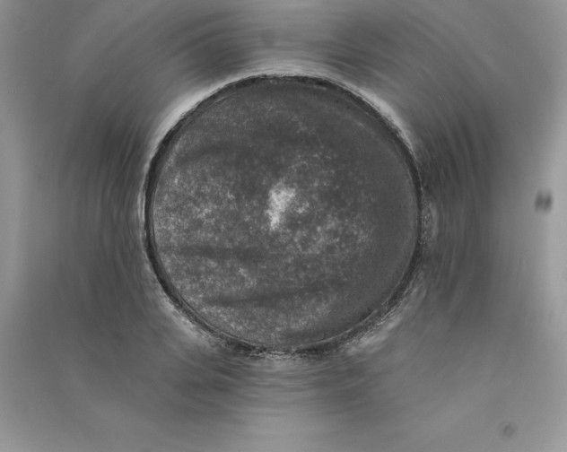 X0000090730935200708171944