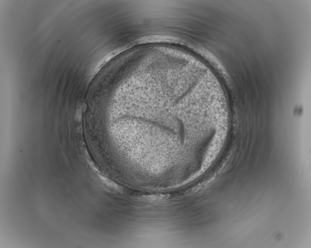 X0000090730937200708171944