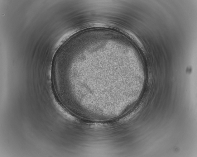 X0000090730938200708171944