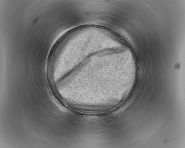 X0000090730940200708171944