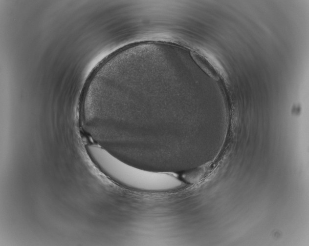 X0000090730944200708171944