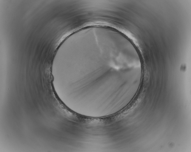 X0000090730945200708171945