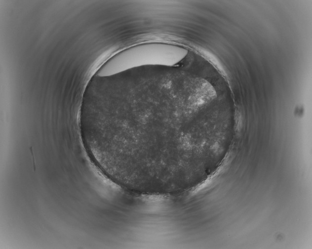 X0000090730946200708171945