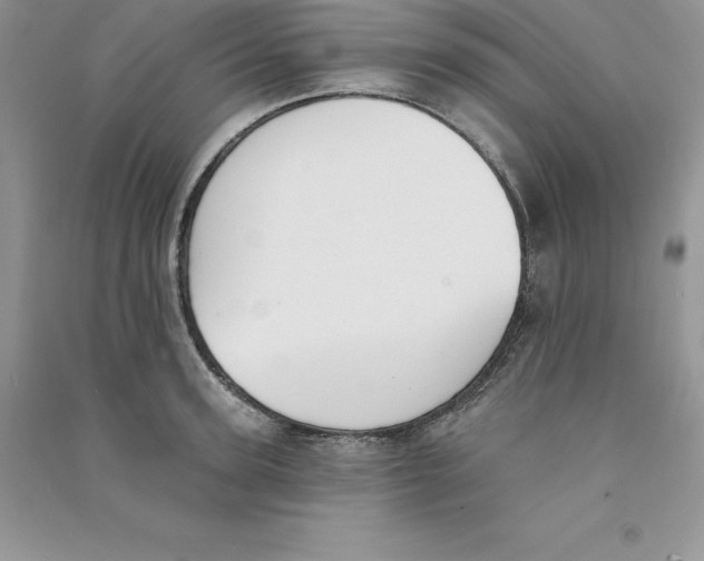 X0000090730947200708171945