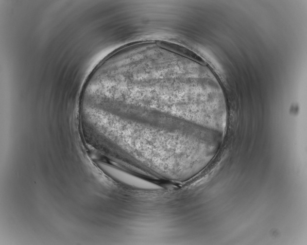 X0000090730948200708171945