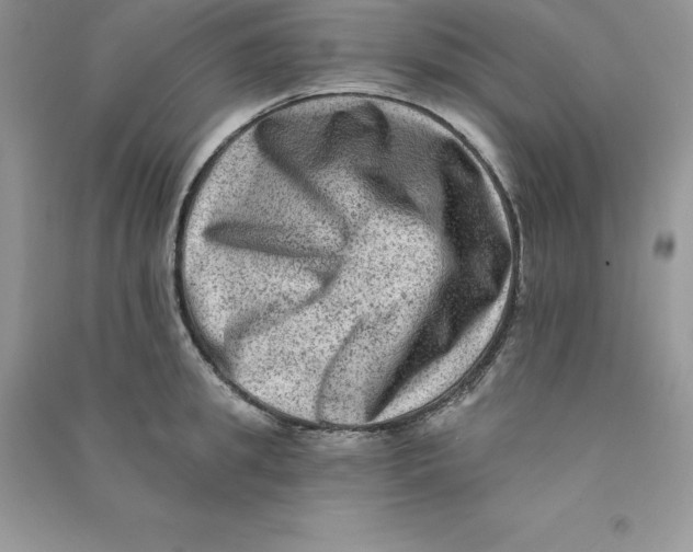 X0000090730949200708171945