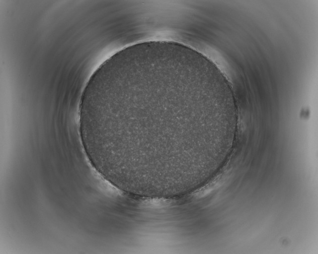 X0000090730950200708171945