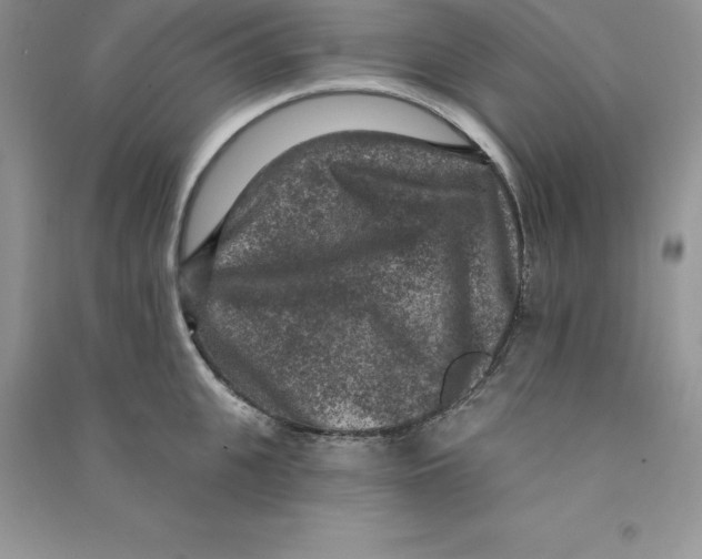 X0000090730951200708171945