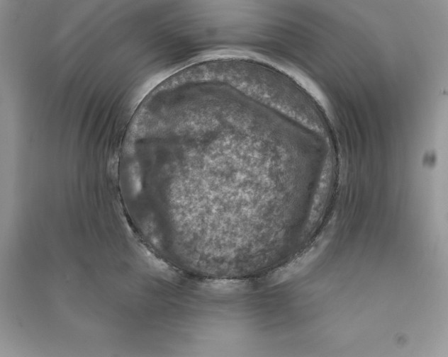 X0000090730953200708171945