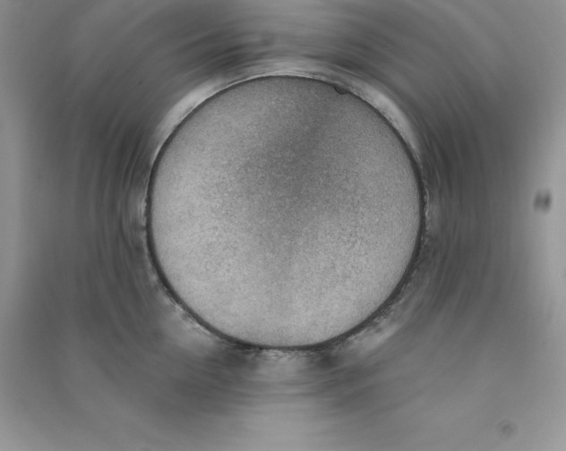 X0000090730954200708171945