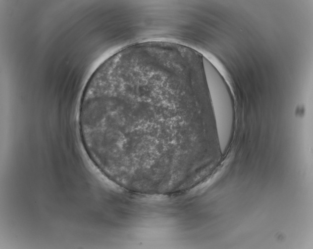 X0000090730957200708171945