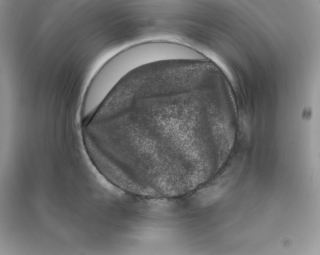 X0000090730959200708171945