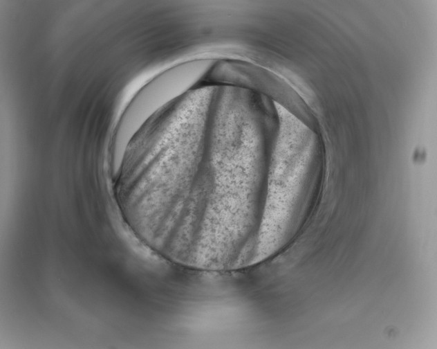 X0000090730960200708171945