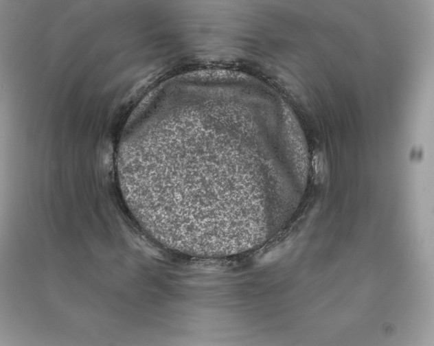 X0000090730963200708171944