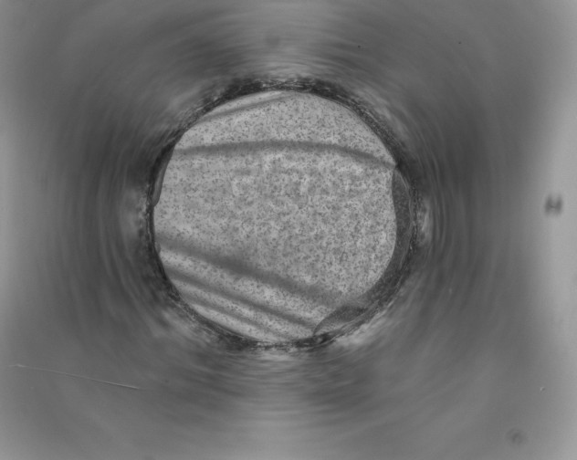 X0000090730964200708171944