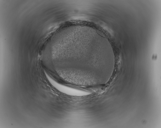 X0000090730965200708171944