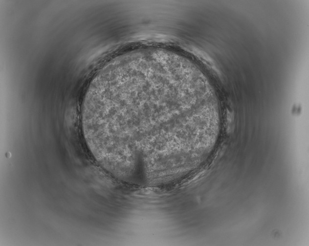 X0000090730966200708171944