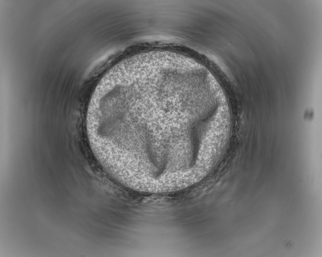 X0000090730967200708171944