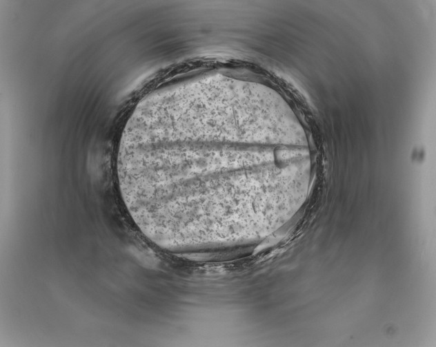 X0000090730968200708171944