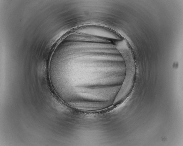 X0000090730969200708171944