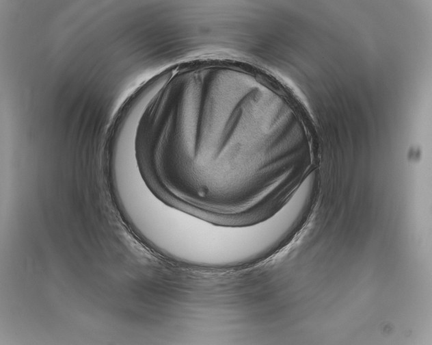 X0000090730973200708171944