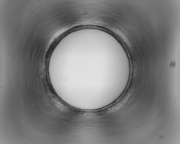 X0000090730974200708171944