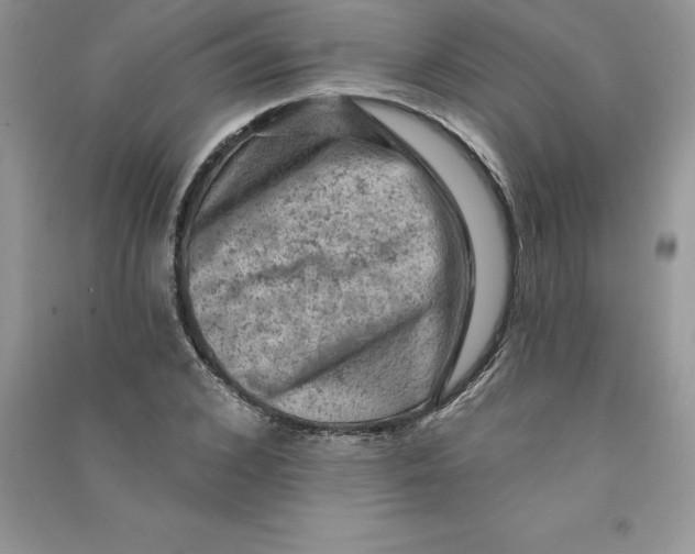 X0000090730976200708171944