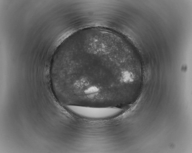 X0000090730977200708171944