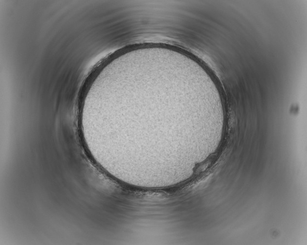 X0000090730979200708171944