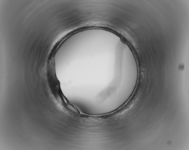 X0000090730981200708171944