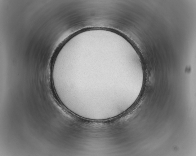 X0000090730982200708171944