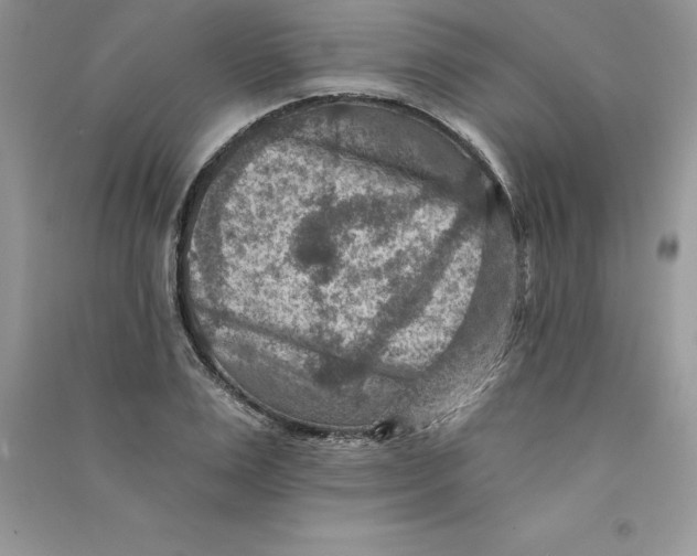 X0000090730983200708171944