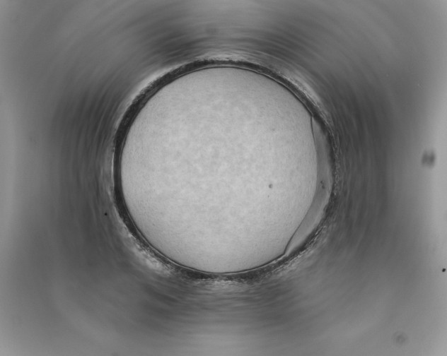 X0000090730984200708171944