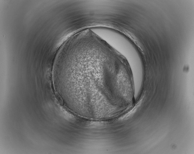 X0000090730985200708171944