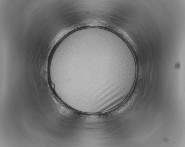 X0000090730986200708171944