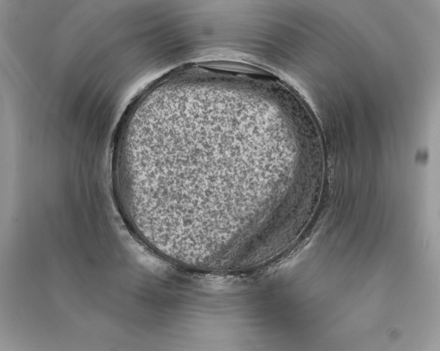 X0000090730987200708171944