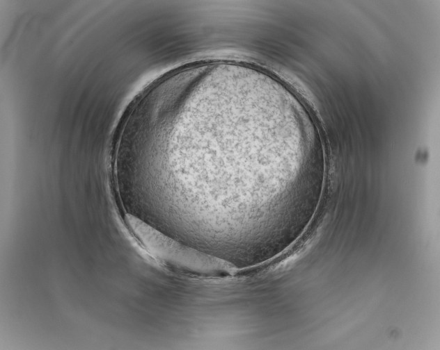 X0000090730989200708171944