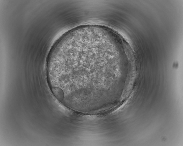 X0000090730990200708171944