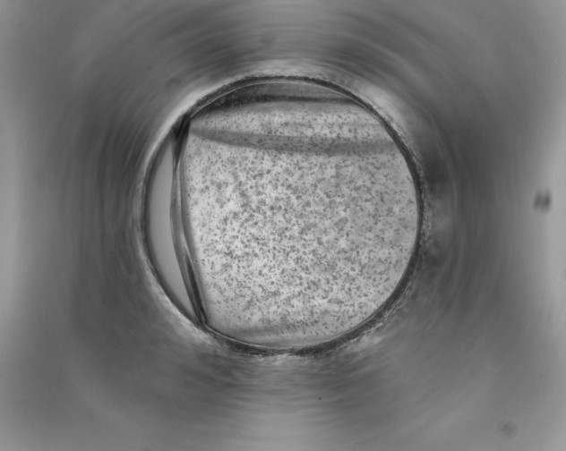 X0000090730992200708171944