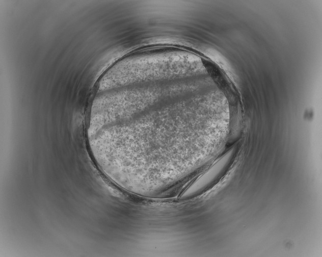 X0000090730993200708171944