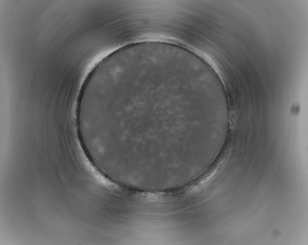 X0000090730995200708171944