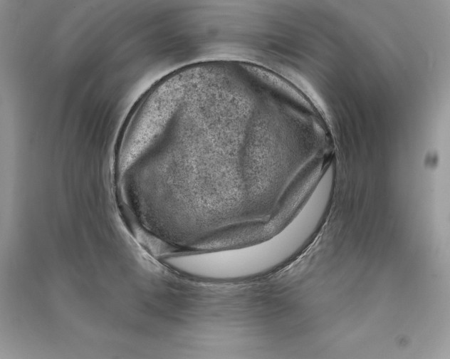 X0000090730996200708171944