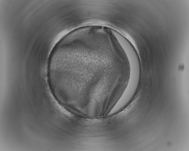 X0000090730997200708171944