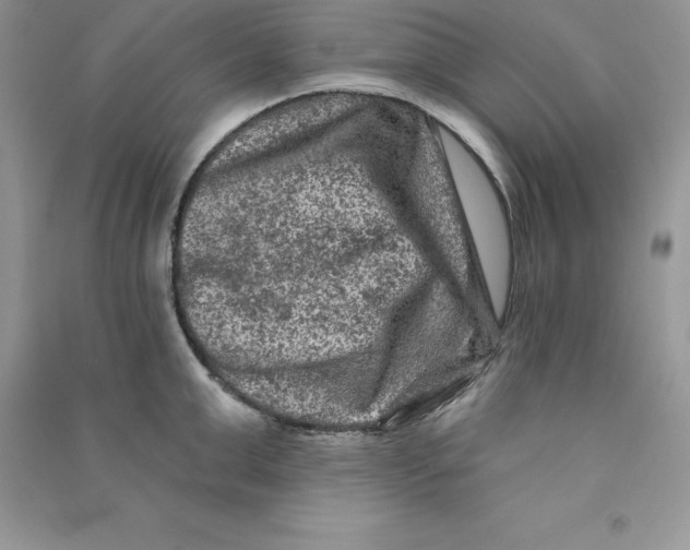 X0000090730999200708171944