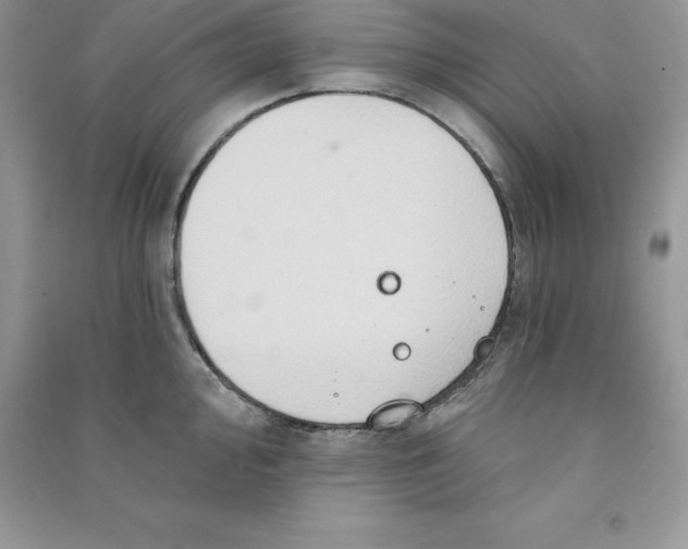 X0000090731000200708171944