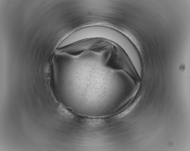 X0000090731001200708171944